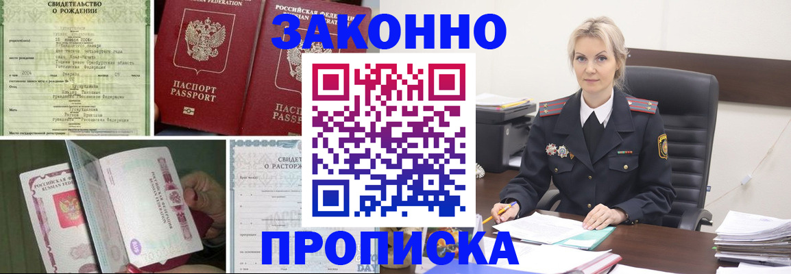 прописка 2025 в Светлогорске